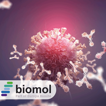 Antibody Promise Launch_Preview