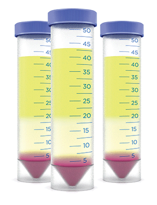 Research-Donors_Buffy-Coat-Tubes-fresh-Illustration_new-4