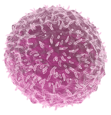 Research-Donors_Immune-Cell-Single-Illustration-4 Research-Donors_Immune-Cell-Single-Illustration-4