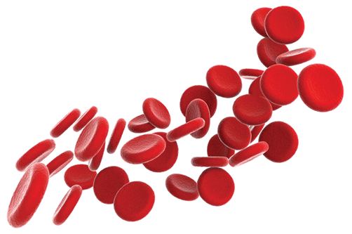 Research-Donors_Red-Blood-Cells-Illustration-4 Research-Donors_Red-Blood-Cells-Illustration-4